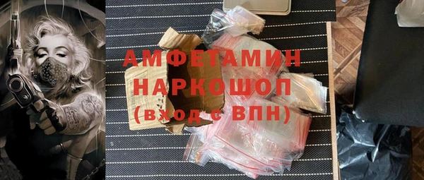 Альфа ПВП Инта
